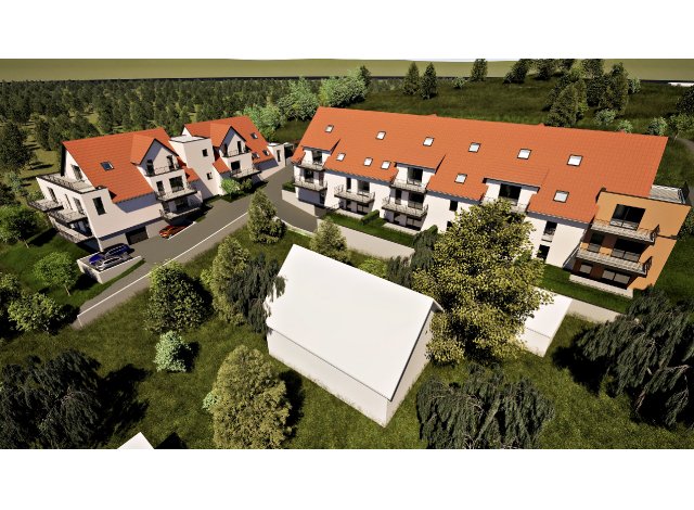 Projet immobilier Soultz-les-Bains