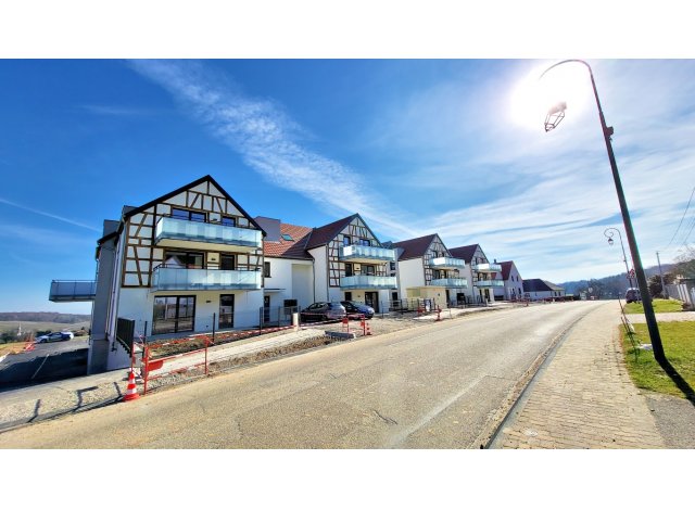Investissement immobilier Cleebourg