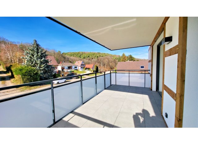 Investissement programme immobilier Millésime