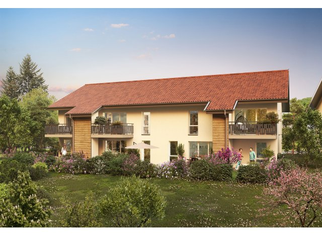 Terra Alba Entrelacs