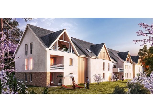 Constellation logement neuf