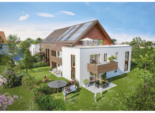 Projet immobilier Niederhausbergen