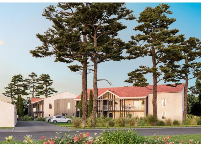 La Pinède immobilier neuf