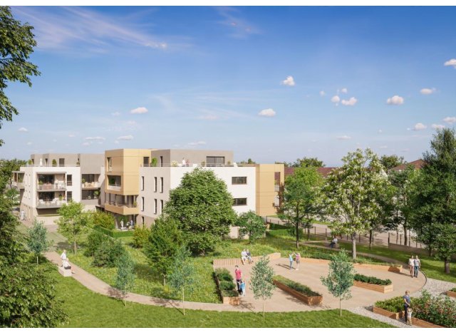 Projet immobilier Bischheim