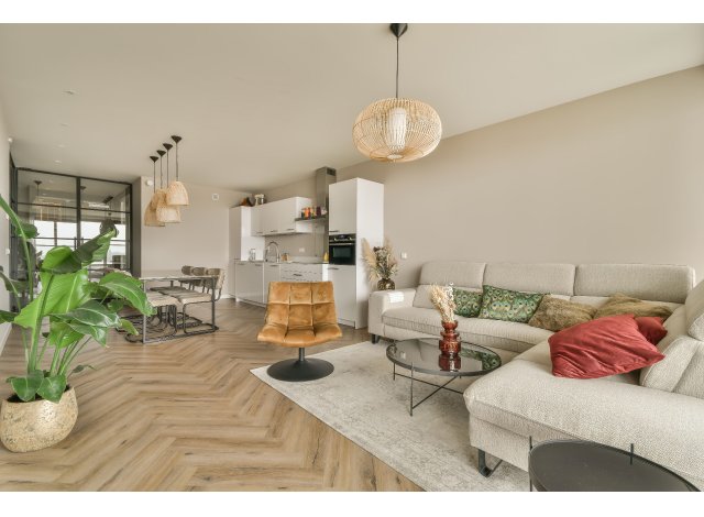 Immobilier neuf Saint-Louis