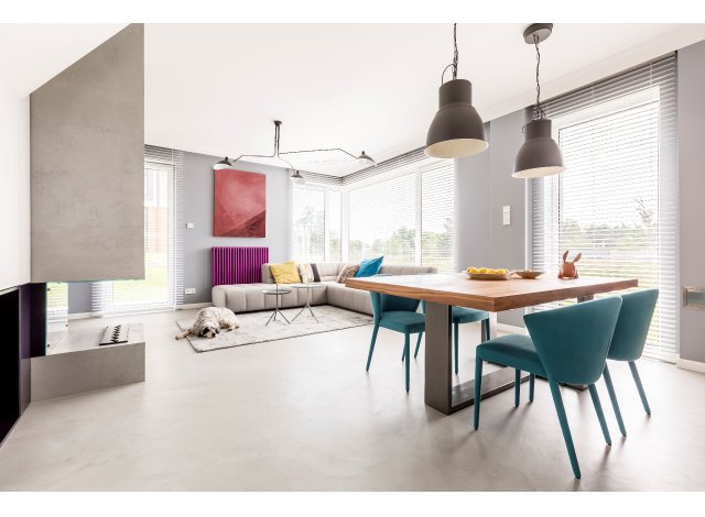 Projet immobilier Saint-Louis