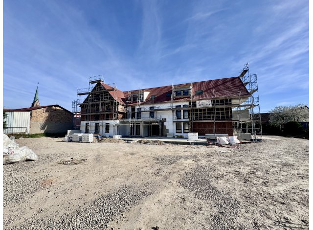 Programme immobilier neuf La Demeure des Comtes  Meistratzheim